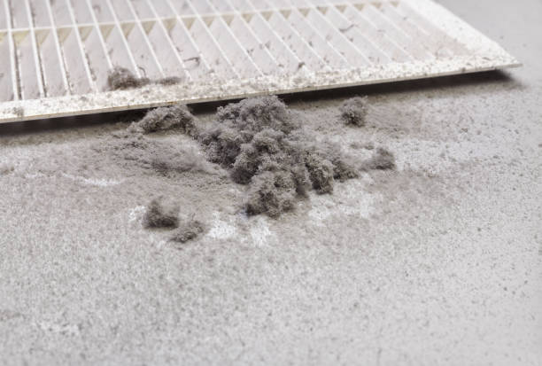 Best Air Duct Cleaning Near Me  in Algona, IA