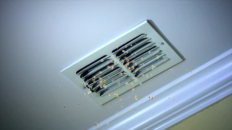 Best HVAC System Cleaning  in Algona, IA