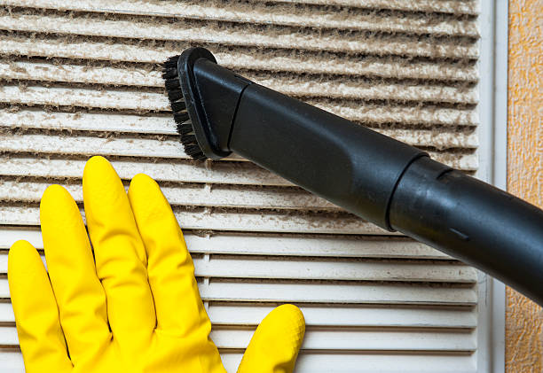 Best HVAC Air Duct Cleaning  in Algona, IA